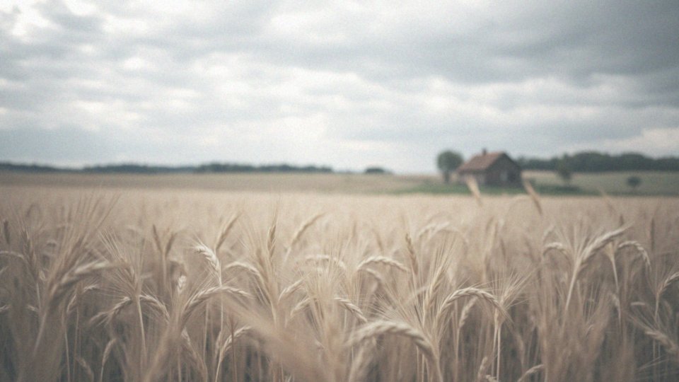 Czy żyto może wywoływać reakcje alergiczne przez wdychanie?