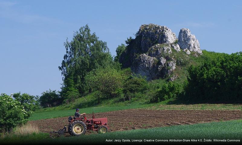 Wzgórze pod Skałką